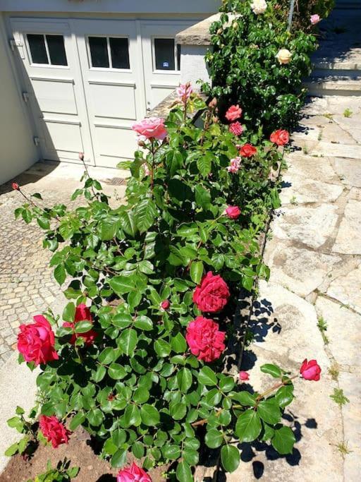 شقة Natalies Hideaway ثون المظهر الخارجي الصورة